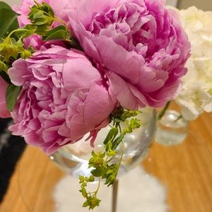 Meet your Posher, Tzirel